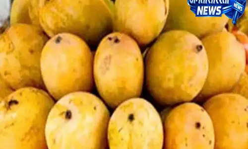 जर्दालू आम की विदेशों में बढ़ी डिमांड सरकार ने लोकसभा में दी जानकारी