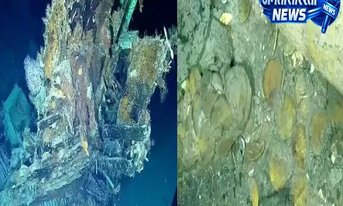 समुद्र की गहराई से मिला करोड़ों का खजाना 20 साल बाद म्यूजियम से गायब
