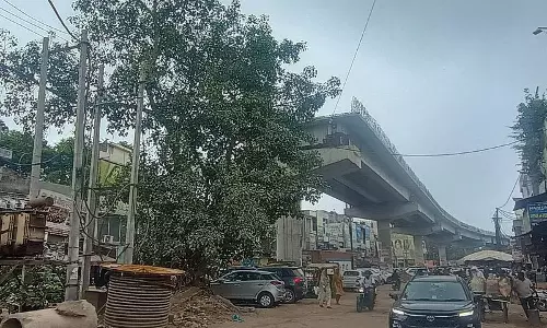 Karnal पेड़ों की मंज़ूरी से अटका फ्लाईओवर Karnal पेड़ों की मंज़ूरी से अटका फ्लाईओवर