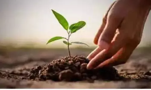 निजी जमीन पर पौधारोपण से होगी अतिरिक्त आय, सरकार देगी आर्थिक सहायता निजी जमीन पर पौधारोपण से होगी अतिरिक्त आय, सरकार देगी आर्थिक सहायता