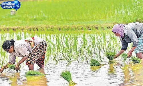 कर्नाटक में कमजोर बारिश, अनाज उत्पादन पर संकट
