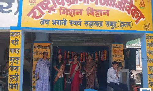 CEO ने पीएम सूर्य घर योजना और बिहान समूह की आजीविका गतिविधियों का किया निरीक्षण