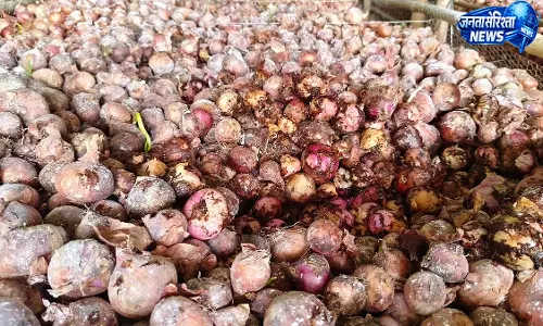 NAFED के गोदाम में सड़े प्याज का आरोप, छावा क्रांतिवीर सेना ने उठाए सवाल NAFED के गोदाम में सड़े प्याज का आरोप, छावा क्रांतिवीर सेना ने उठाए सवाल