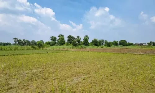 सावन में बारिश की बेरुखी से किसानों की बढ़ी चिंता, खेतों में नमी की कमी सावन में बारिश की बेरुखी से किसानों की बढ़ी चिंता, खेतों में नमी की कमी