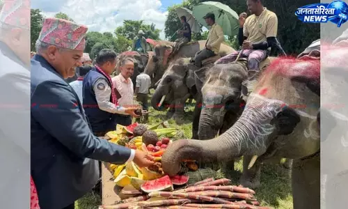 चितवन में गजराजों के लिए सजी शाही दावत, गन्ने से लेकर ड्रैगन फ्रूट तक परोसे गए चितवन में गजराजों के लिए सजी शाही दावत, गन्ने से लेकर ड्रैगन फ्रूट तक परोसे गए