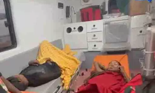 जंगल से निकले भालू ने दो महिलाओं को बनाया शिकार