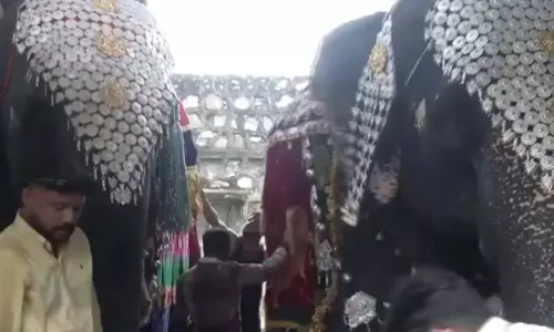62 किलो चांदी के गहने पहन हाथियों ने किया रैंप वॉक 62 किलो चांदी के गहने पहन हाथियों ने किया रैंप वॉक