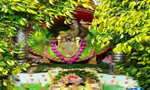 हरी पोशाक में सजे सांवलिया सेठ, हरियाली अमावस्या पर भक्तिमय हुआ नौगावां, उमड़े श्रद्धाल हरी पोशाक में सजे सांवलिया सेठ, हरियाली अमावस्या पर भक्तिमय हुआ नौगावां, उमड़े श्रद्धाल