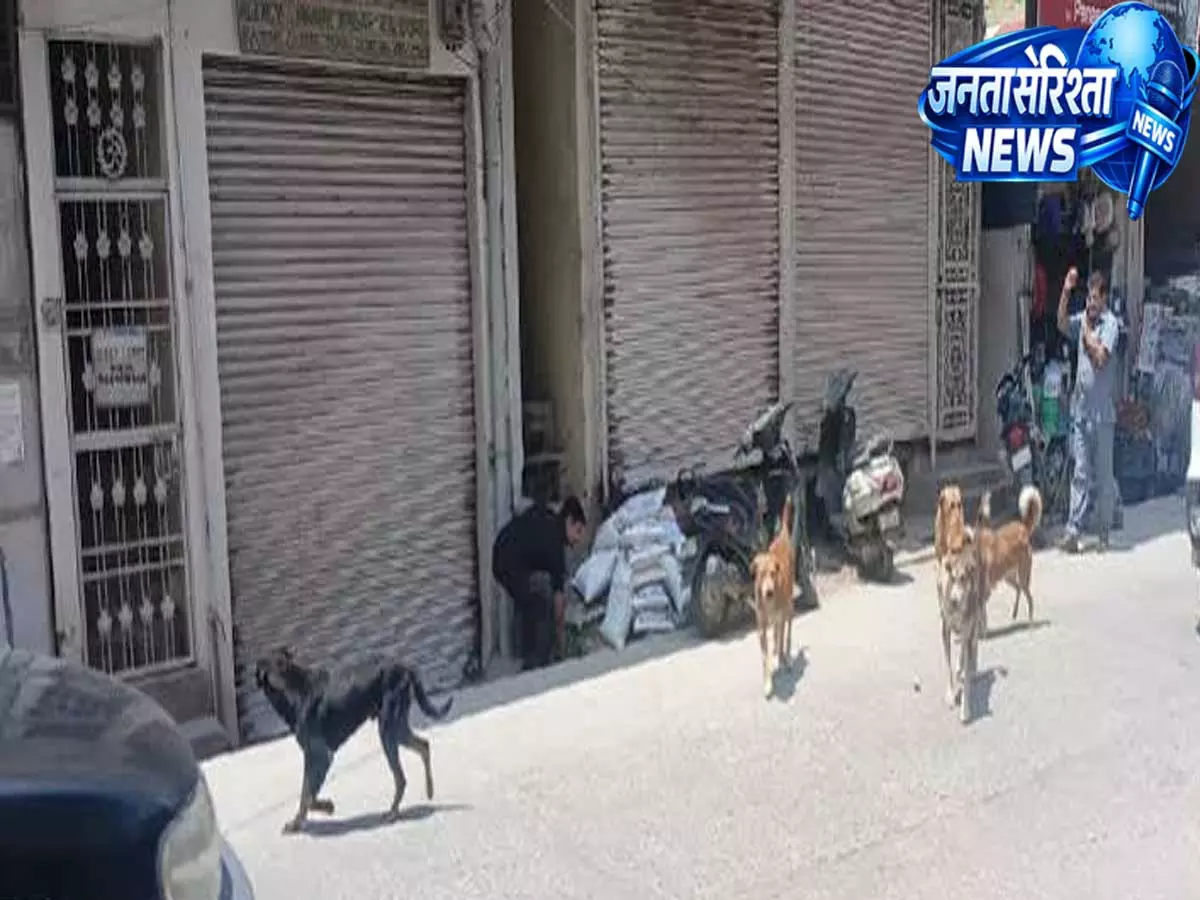 पागल कुत्तों के आतंक से मिली राहत कोटरंका में आज से खुलेंगे स्कूल पागल कुत्तों के आतंक से मिली राहत कोटरंका में आज से खुलेंगे स्कूल