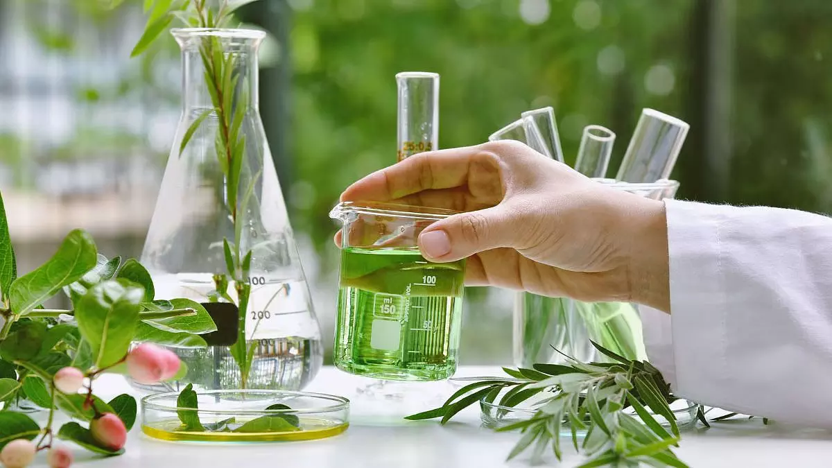 महाराष्ट्र में आयुर्वेदिक दवा कंपनियों पर FDA की बड़ी कार्रवाई, 135 निर्माताओं को कारण बताओ नोटिस महाराष्ट्र में आयुर्वेदिक दवा कंपनियों पर FDA की बड़ी कार्रवाई, 135 निर्माताओं को कारण बताओ नोटिस