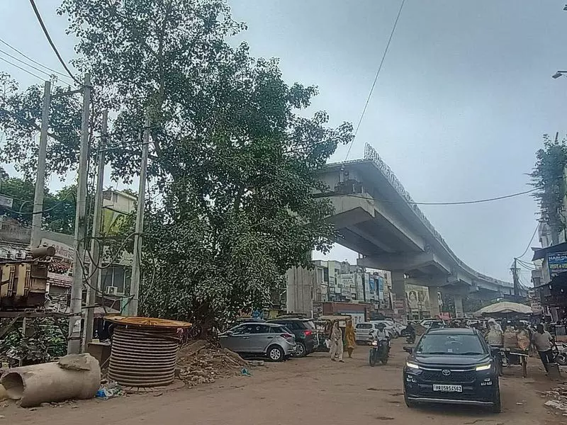Karnal पेड़ों की मंज़ूरी से अटका फ्लाईओवर Karnal पेड़ों की मंज़ूरी से अटका फ्लाईओवर