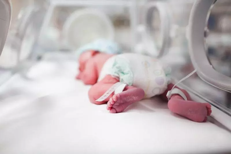 Sirsa ICU नवजात की देखभाल पर उठे सवाल Sirsa ICU नवजात की देखभाल पर उठे सवाल