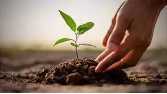 निजी जमीन पर पौधारोपण से होगी अतिरिक्त आय, सरकार देगी आर्थिक सहायता निजी जमीन पर पौधारोपण से होगी अतिरिक्त आय, सरकार देगी आर्थिक सहायता