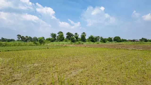 सावन में बारिश की बेरुखी से किसानों की बढ़ी चिंता, खेतों में नमी की कमी सावन में बारिश की बेरुखी से किसानों की बढ़ी चिंता, खेतों में नमी की कमी