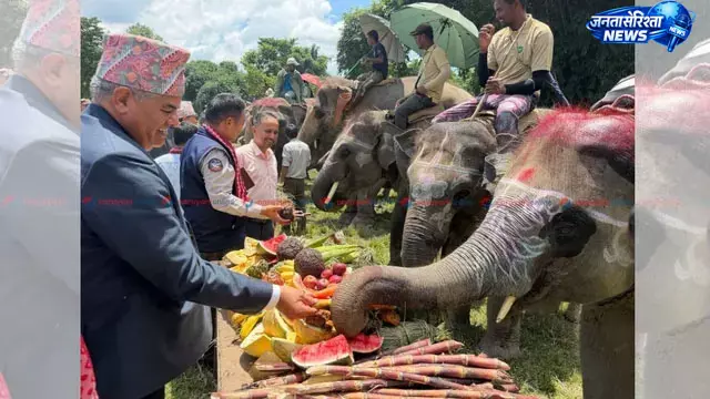 चितवन में गजराजों के लिए सजी शाही दावत, गन्ने से लेकर ड्रैगन फ्रूट तक परोसे गए चितवन में गजराजों के लिए सजी शाही दावत, गन्ने से लेकर ड्रैगन फ्रूट तक परोसे गए