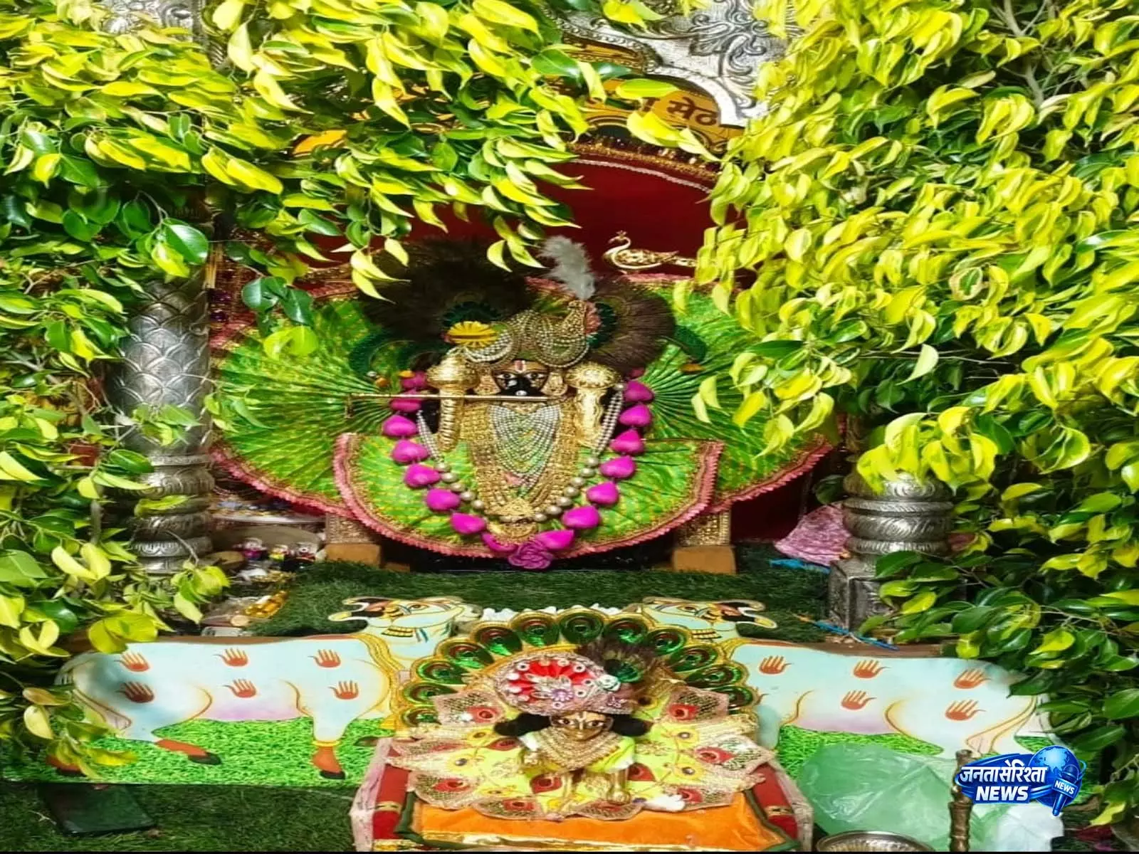 हरी पोशाक में सजे सांवलिया सेठ, हरियाली अमावस्या पर भक्तिमय हुआ नौगावां, उमड़े श्रद्धाल हरी पोशाक में सजे सांवलिया सेठ, हरियाली अमावस्या पर भक्तिमय हुआ नौगावां, उमड़े श्रद्धाल