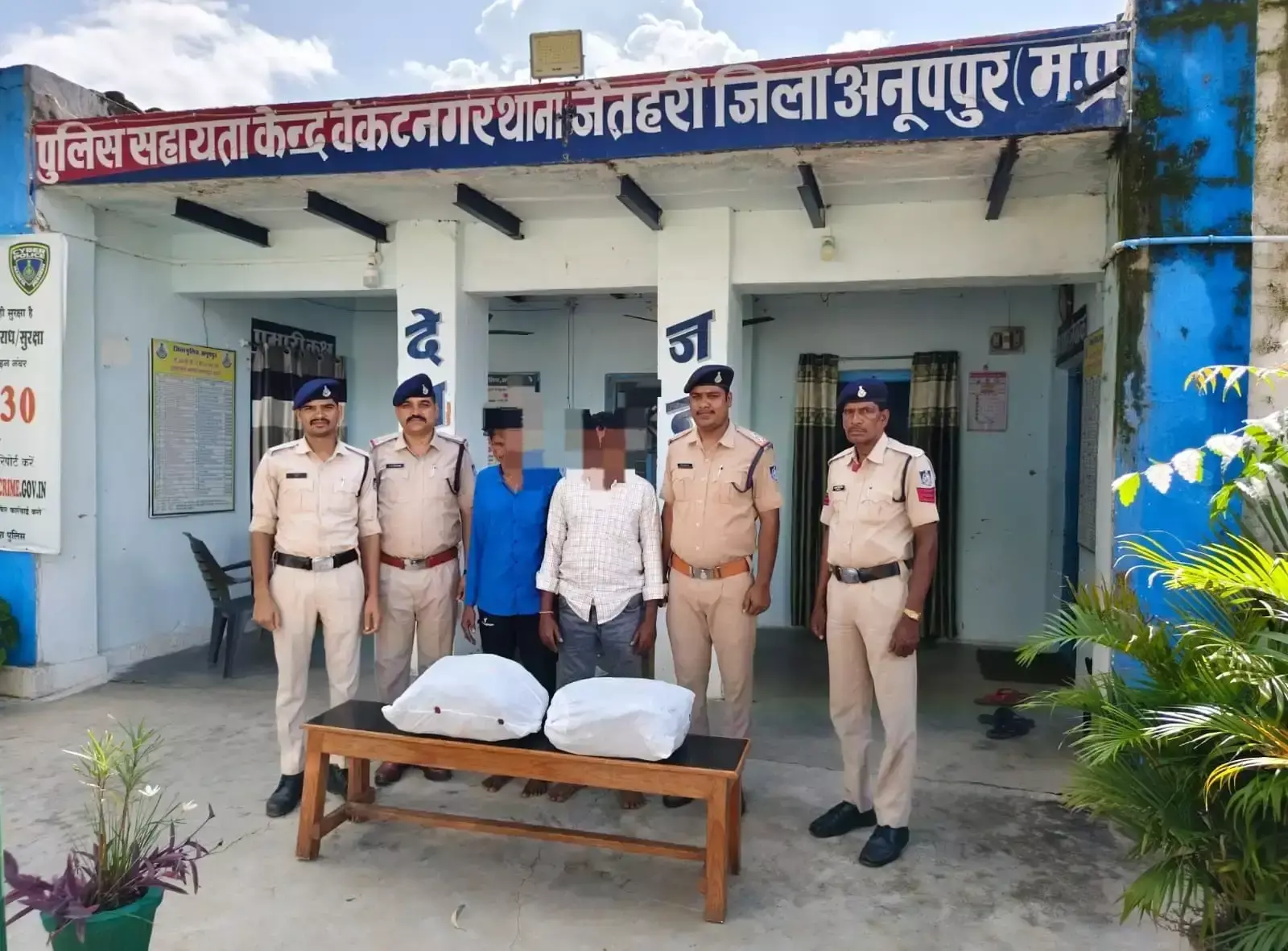 Anuppur: गांजा तस्करी पर पुलिस का शिकंजा, 14 किलो गांजा जब्त, तीन गिरफ्तार