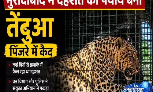 लंबे समय से परेशान ग्रामीणों को मिली राहत तेंदुआ पिंजरे में बंद