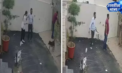पटियाला में पिटबुल का हमला, घर देखने गए दंपती घायल; बचाव का CCTV वीडियो वायरल पटियाला में पिटबुल का हमला, घर देखने गए दंपती घायल; बचाव का CCTV वीडियो वायरल