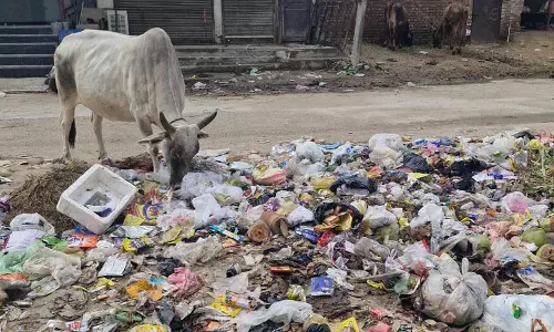 Sirsa में सफाई कर्मचारियों की हड़ताल जारी, कचरे का संकट गहराया