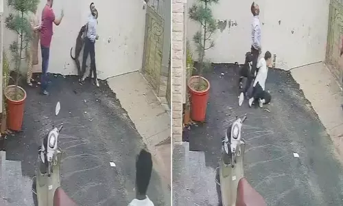 Patiala में पिट बुल अटैक, दो लोग गंभीर रूप से घायल Patiala में पिट बुल अटैक, दो लोग गंभीर रूप से घायल