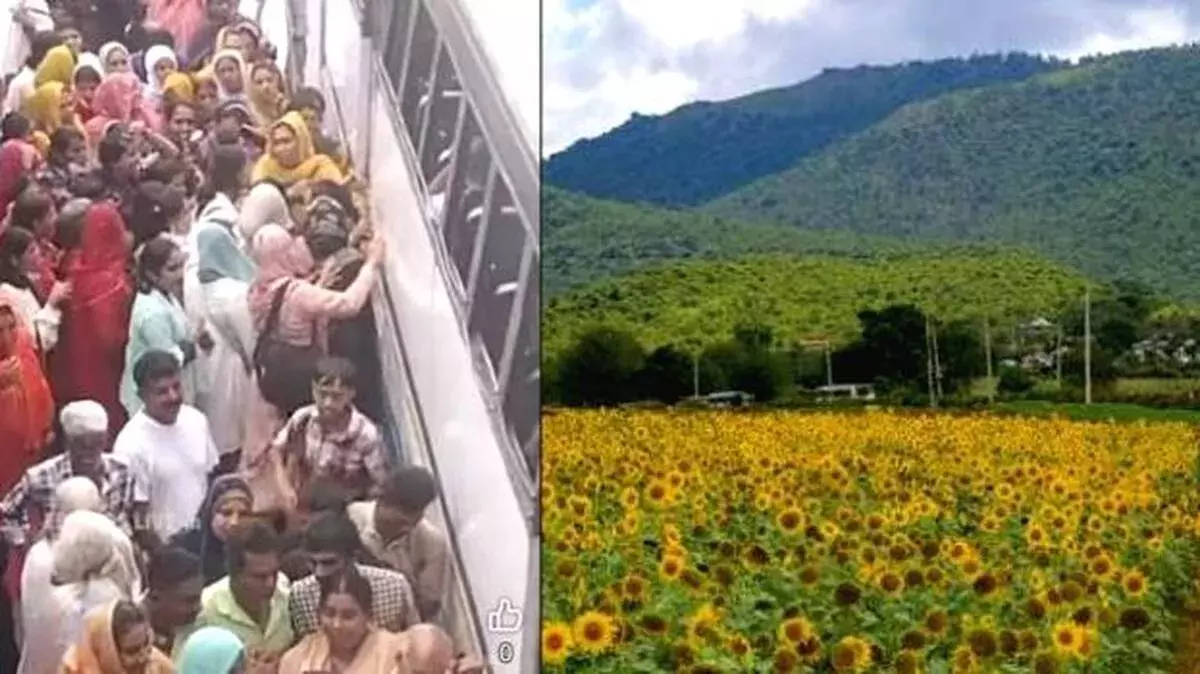 kerala: गुंडलपेट प्रियदर्शिनी बस में 200 यात्री! भारी भीड़ से KSRTC अधिकारी नाराज kerala: गुंडलपेट प्रियदर्शिनी बस में 200 यात्री! भारी भीड़ से KSRTC अधिकारी नाराज