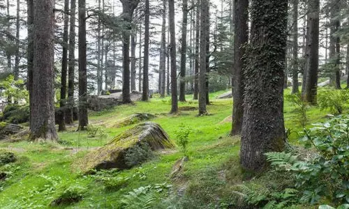 J&K सरकार ने जारी की वन अधिकारों की नई गाइडलाइंस