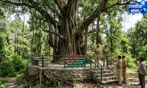 200 साल पुराने बरगद के पेड़ के चबूतरे पर NGT सख्त, वन विभाग से मांगा स्पष्टीकरण 200 साल पुराने बरगद के पेड़ के चबूतरे पर NGT सख्त, वन विभाग से मांगा स्पष्टीकरण