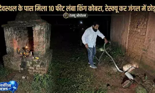 देवस्थल के पास मिला 10 फीट लंबा किंग कोबरा, रेस्क्यू कर जंगल में छोड़ा देवस्थल के पास मिला 10 फीट लंबा किंग कोबरा, रेस्क्यू कर जंगल में छोड़ा
