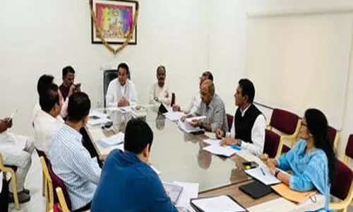 राजस्थान में पेड़ों की सुरक्षा के लिए आएगा नया कानून राजस्थान में पेड़ों की सुरक्षा के लिए आएगा नया कानून
