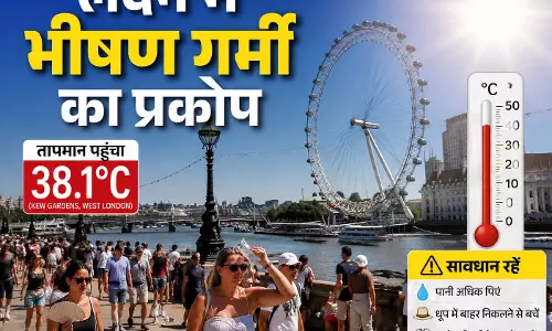 Kew Gardens में पारा 38.1 डिग्री पहुंचा, मौसम विभाग अलर्ट