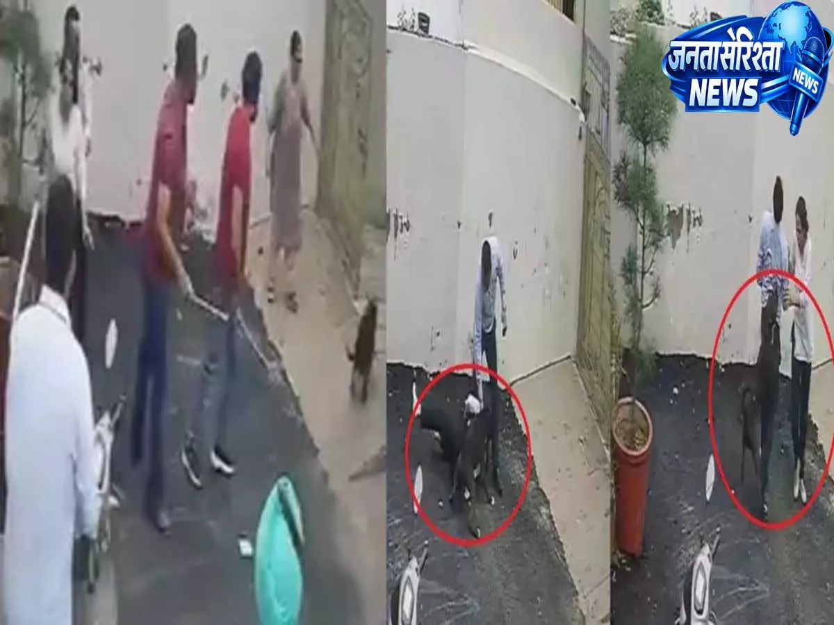 मकान देखने पहुंचे दंपती पर पिटबुल का हमला 75 सेकेंड में किए 26 वार