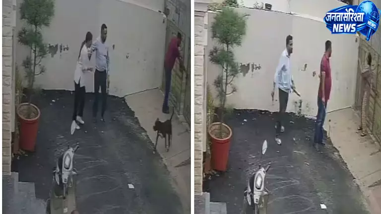 पटियाला में पिटबुल का हमला, घर देखने गए दंपती घायल; बचाव का CCTV वीडियो वायरल पटियाला में पिटबुल का हमला, घर देखने गए दंपती घायल; बचाव का CCTV वीडियो वायरल