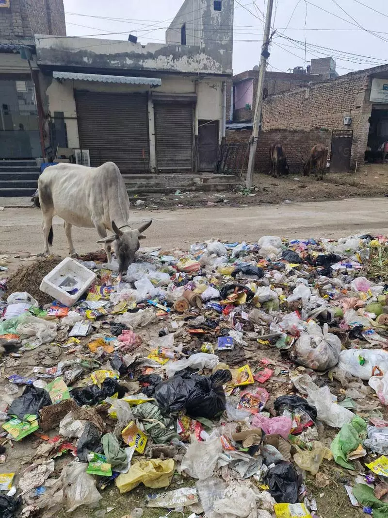 Sirsa में सफाई कर्मचारियों की हड़ताल जारी, कचरे का संकट गहराया Sirsa में सफाई कर्मचारियों की हड़ताल जारी, कचरे का संकट गहराया