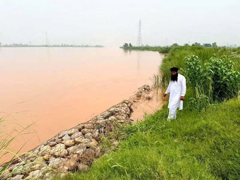 ब्यास नदी का खौफ कायम, Sultanpur लोधी के गांवों में चिंता ब्यास नदी का खौफ कायम, Sultanpur लोधी के गांवों में चिंता