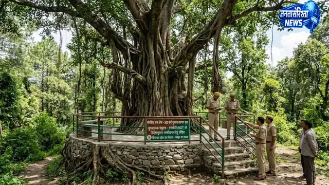 200 साल पुराने बरगद के पेड़ के चबूतरे पर NGT सख्त, वन विभाग से मांगा स्पष्टीकरण 200 साल पुराने बरगद के पेड़ के चबूतरे पर NGT सख्त, वन विभाग से मांगा स्पष्टीकरण