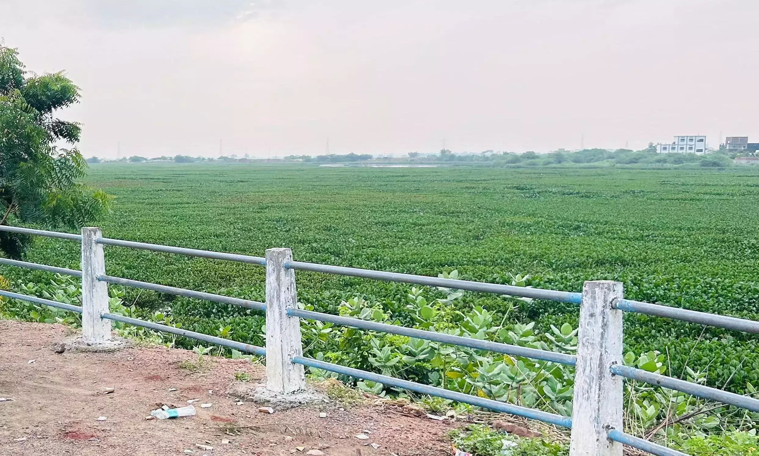खानापुर टैंक को 68 करोड़ रुपये की लागत से मिनी-टैंक बंड के तौर पर विकसित किया जाएगा खानापुर टैंक को 68 करोड़ रुपये की लागत से मिनी-टैंक बंड के तौर पर विकसित किया जाएगा