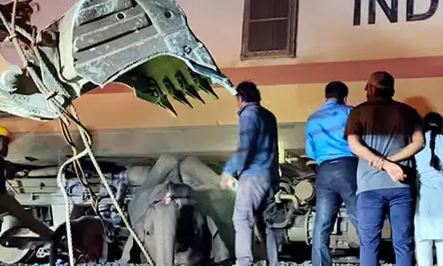 तमिलनाडु-केरल बॉर्डर पर दर्दनाक हादसा, ट्रेन की टक्कर से हाथी के बच्चे और उसकी मां की मौत