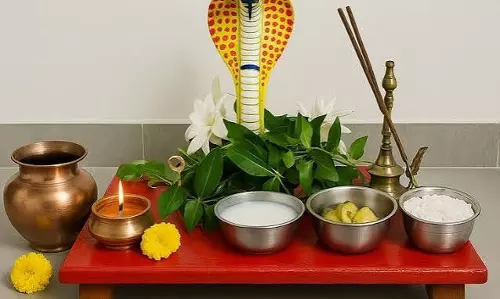 नाग पंचमी पूजा की तैयारी पूरी रखें ये खास चीजें मिलेगा शुभ फल और आशीर्वाद नाग पंचमी पूजा की तैयारी पूरी रखें ये खास चीजें मिलेगा शुभ फल और आशीर्वाद