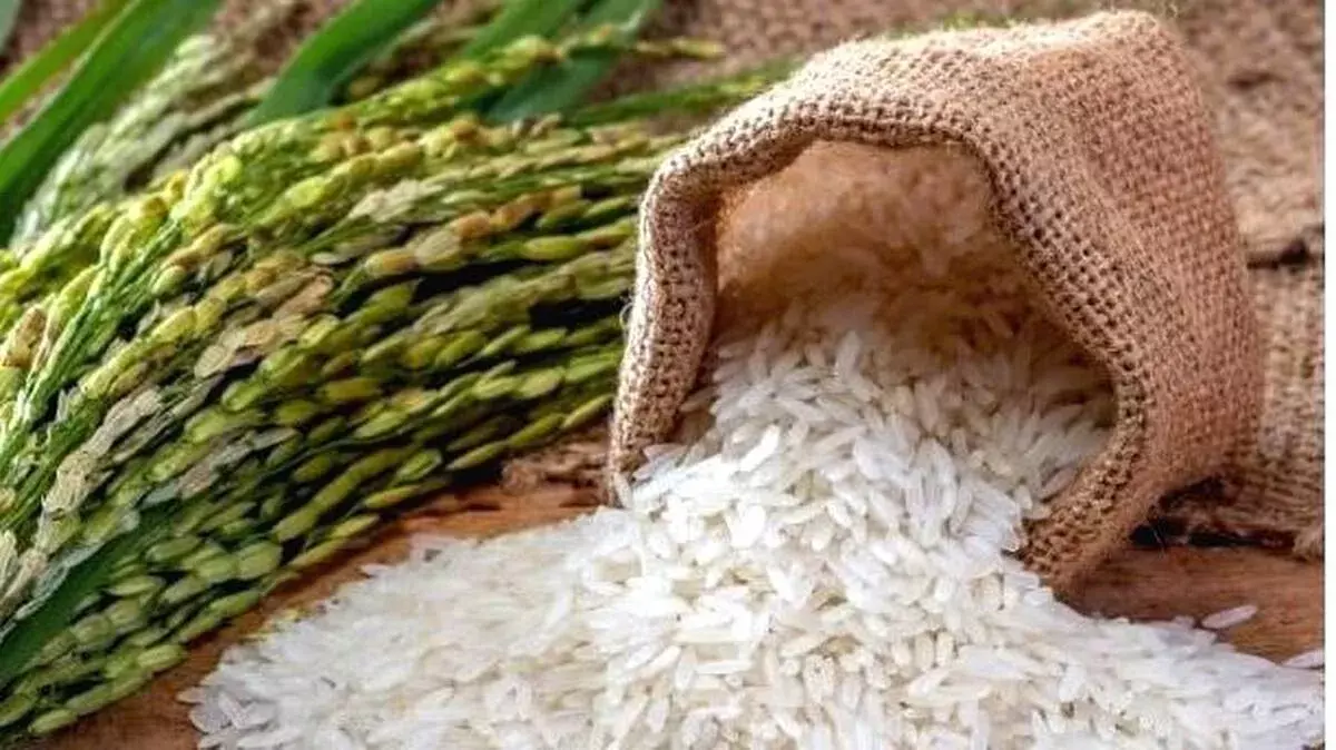 जमाखोरी पर कसता शिकंजा: मंत्री अनूप जैकब ने आंध्र के मंत्री को लिखा पत्र