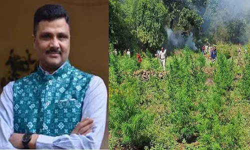 सरकारी जमीन पर उगाई जा रही गांजे की फसल पर शिकंजा, ACS ने भेजा पत्र सरकारी जमीन पर उगाई जा रही गांजे की फसल पर शिकंजा, ACS ने भेजा पत्र