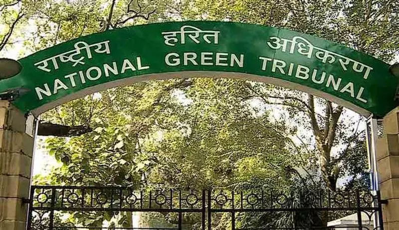 NGT ने 200 साल पुराने पेड़ के चारों ओर बने प्लेटफॉर्म पर सवाल उठाए NGT ने 200 साल पुराने पेड़ के चारों ओर बने प्लेटफॉर्म पर सवाल उठाए