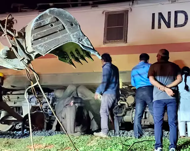 तमिलनाडु-केरल बॉर्डर पर दर्दनाक हादसा, ट्रेन की टक्कर से हाथी के बच्चे और उसकी मां की मौत तमिलनाडु-केरल बॉर्डर पर दर्दनाक हादसा, ट्रेन की टक्कर से हाथी के बच्चे और उसकी मां की मौत