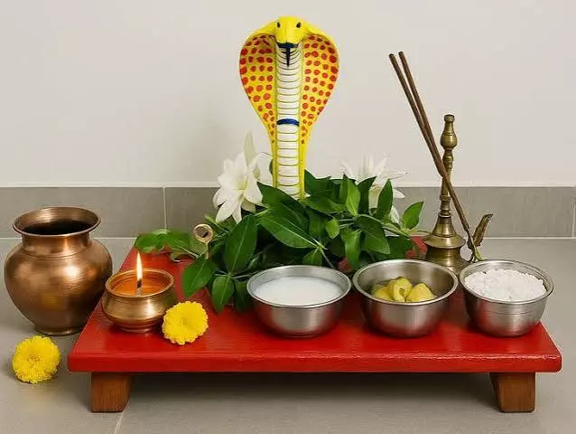 नाग पंचमी पूजा की तैयारी पूरी रखें ये खास चीजें मिलेगा शुभ फल और आशीर्वाद नाग पंचमी पूजा की तैयारी पूरी रखें ये खास चीजें मिलेगा शुभ फल और आशीर्वाद