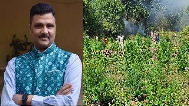 सरकारी जमीन पर उगाई जा रही गांजे की फसल पर शिकंजा, ACS ने भेजा पत्र सरकारी जमीन पर उगाई जा रही गांजे की फसल पर शिकंजा, ACS ने भेजा पत्र