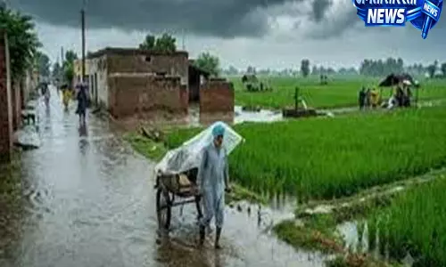 पंजाब में भारी बारिश का खतरा मौसम विभाग ने जारी किया येलो अलर्ट पंजाब में भारी बारिश का खतरा मौसम विभाग ने जारी किया येलो अलर्ट