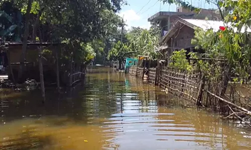 असम में बाढ़ का कहर थमा लेकिन अब कीचड़ और गाद बनी नई मुसीबत असम में बाढ़ का कहर थमा लेकिन अब कीचड़ और गाद बनी नई मुसीबत