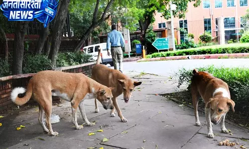 Gurugram में कुत्ते को खाना खिलाने को लेकर झड़प Gurugram में कुत्ते को खाना खिलाने को लेकर झड़प