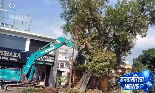 पठानकोट-मंडी फोरलेन के लिए 1.17 लाख पौधारोपण पठानकोट-मंडी फोरलेन के लिए 1.17 लाख पौधारोपण