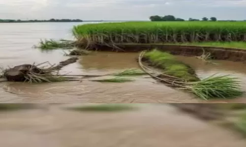 उत्तराखंड की बारिश से यूपी की नदियों का जलस्तर बढ़ा